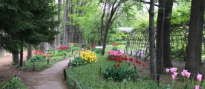 札幌市緑化植物園豊平公園緑のセンターの授乳室 オムツ替え台情報