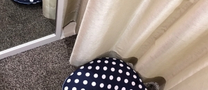 らかんスタジオ 仙台東店の授乳室 オムツ替え台情報