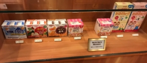 東京ディズニーランドの授乳室 オムツ替え台情報