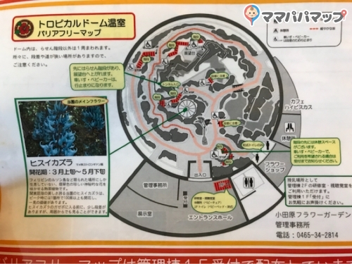 小田原フラワーガーデンの授乳室 オムツ替え台情報