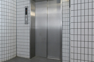 Naikan8 20191108171155 313x313