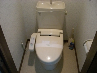 Naikan8 20150328132009 313x313