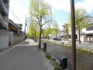Naikan8 20150318075704 313x313