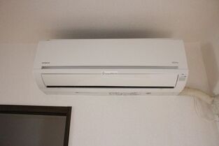 Naikan8 20210110131328 313x313