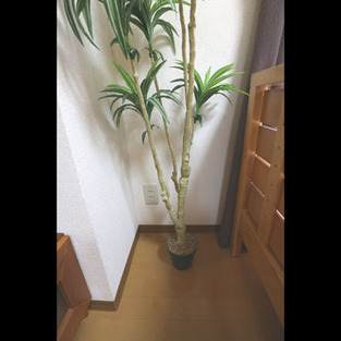Naikan4 20180916164127 313x313