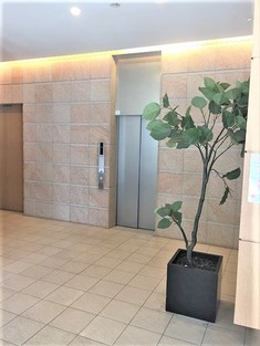 Naikan7 20180711160116 313x313