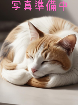 芹沢 涼香｜愛猫