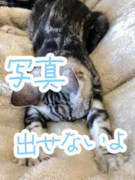 さくら
