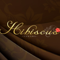 出張水戸メンズエステ Hibiscus