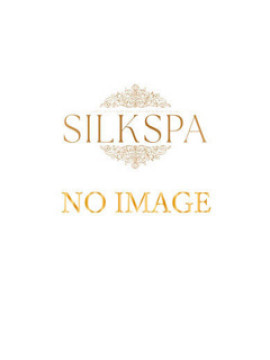 のあビジュ最高峰!初日調整中|SILK SPA 福岡店