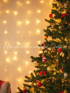 Christmas｜IRIE SPA（アイリースパ）