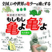 頭磨き、亀頭責め専門 もしもし亀よ亀さんよ 名古屋店