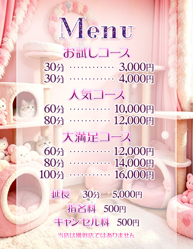 料金表