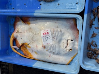 image1.jpeg