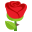 :rose: 🌹