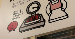 image5.jpeg