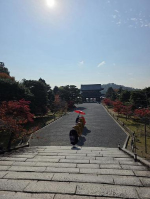 20251121_193510_9ee5bcc7c12be596e8d708eb