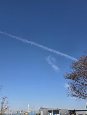 20251208_143403_5597ddc3b4b785be62aea8ee