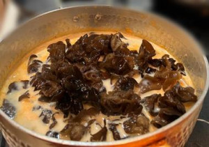 20260127_221808_750d19ec2a3a7faafebd1a66