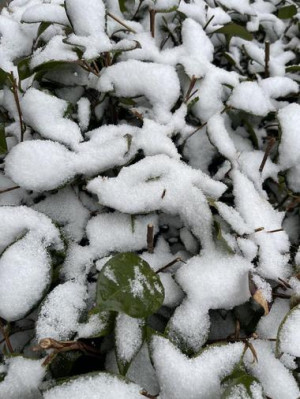 20260208_090503_0f07fba13231136b98ec6f97