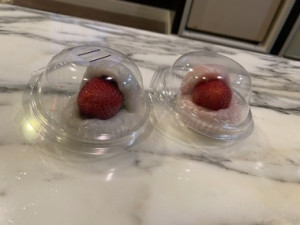 20260213_002002_b8386c0ff32b8a8e7e91a656