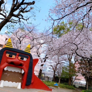 立川市の有名スポット？オニ公園の桜が見頃です♪ | 立川レディース鍼灸マッサージ はるはるのスタッフブログ