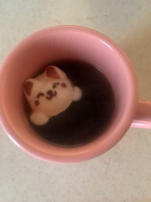 IMG_0100.jpeg