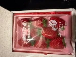 image5.jpeg