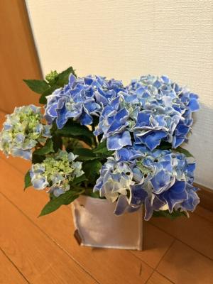 IMG_4094.jpeg