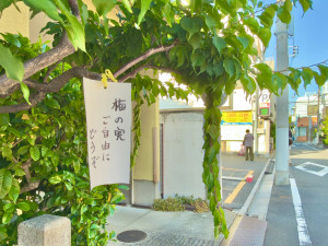 image0.jpeg