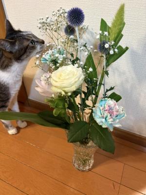 IMG_4474.jpeg