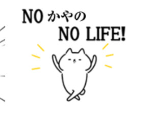 image4.jpeg