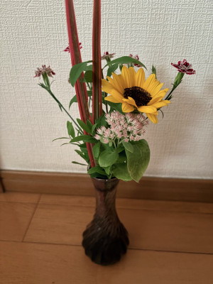 IMG_4515.jpeg