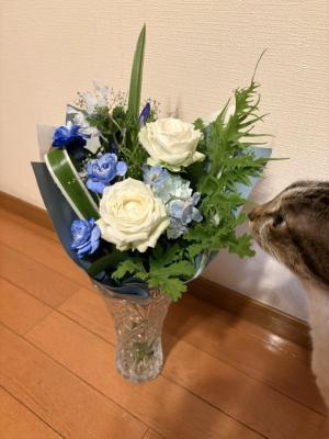 IMG_4680.jpeg