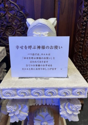 image0.jpeg