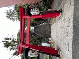 image1.jpeg