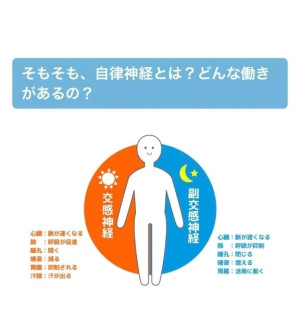 image0.jpeg
