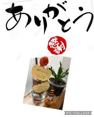 image0.jpeg