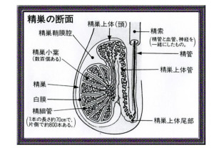 image0.jpeg