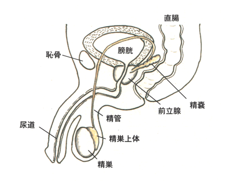 image0.gif