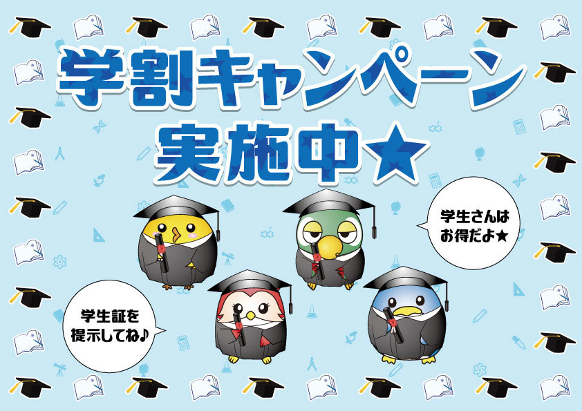 キャンペーン情報3
