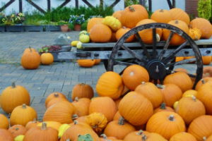 ハロウィン