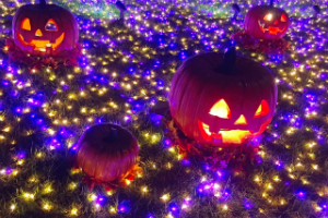 ハロウィンフォトジェニック