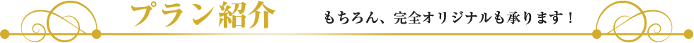 プラン紹介