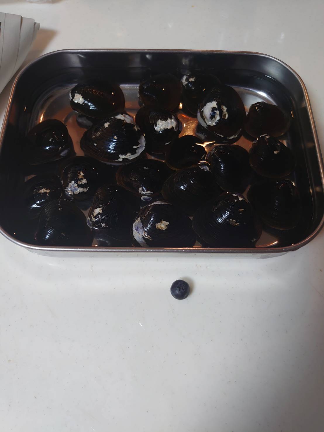 73104.jpg