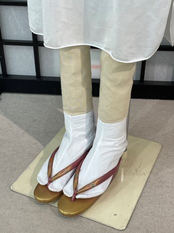 S__4128787.jpg