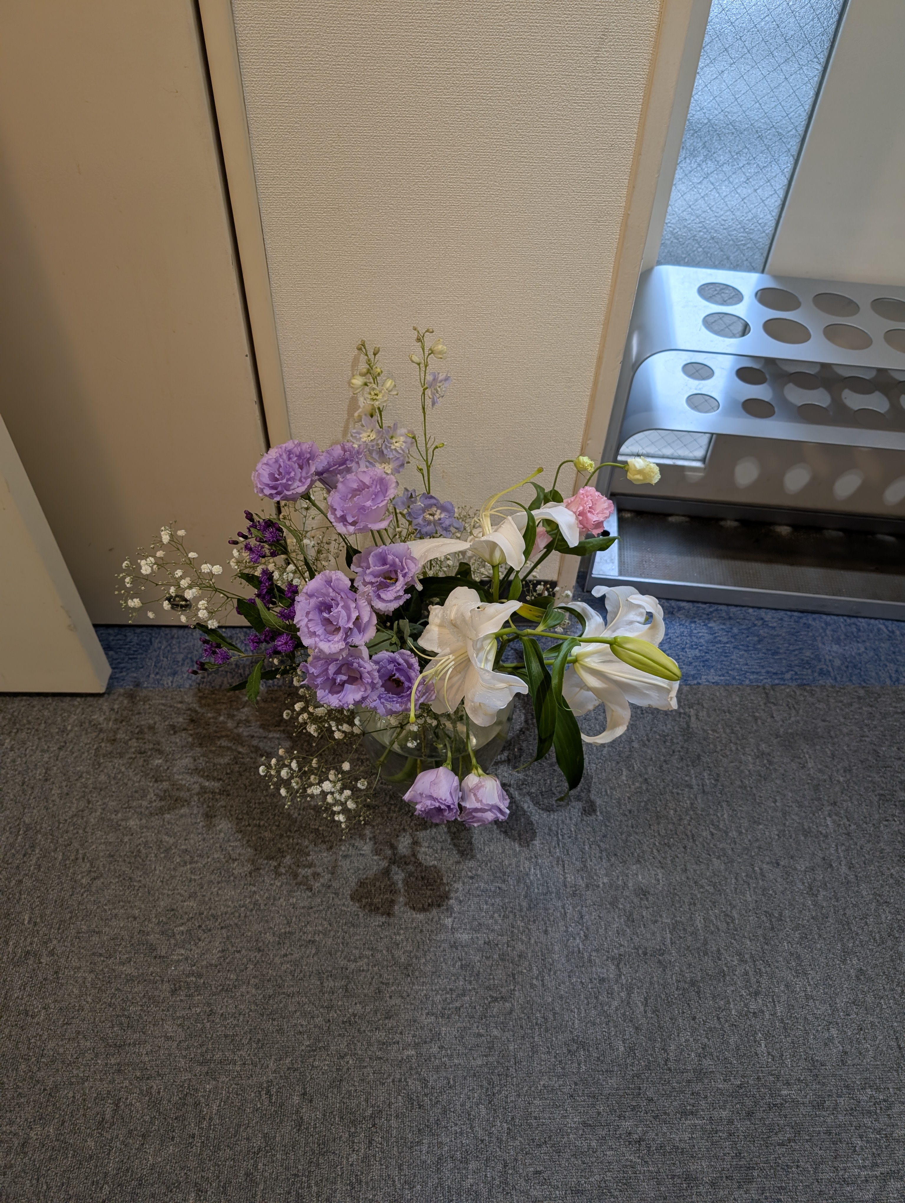 PXL_20251014_013834492.jpg