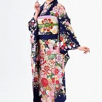 新作振袖コレクション No.1652D 新作振袖コレクション No.1652D