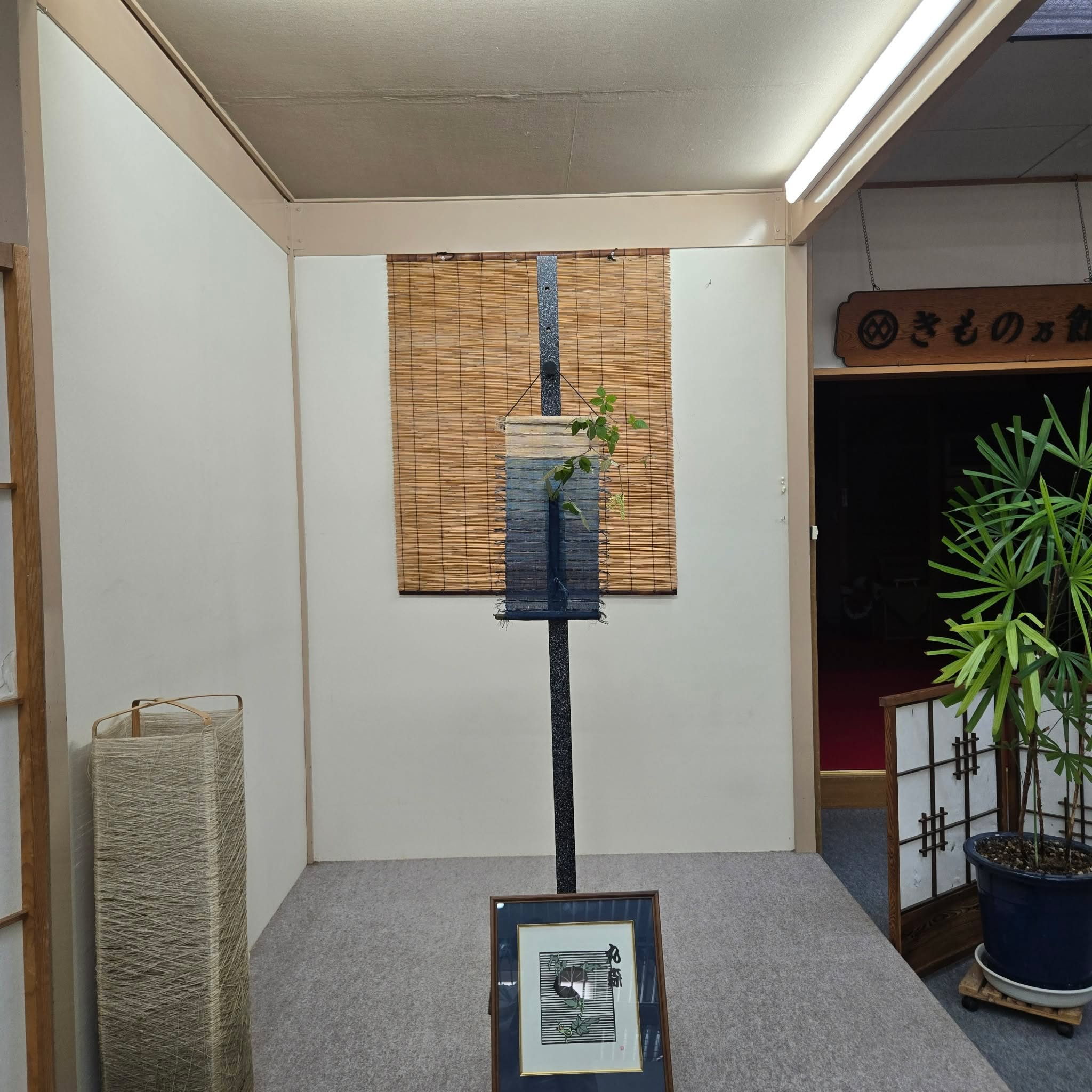 20260807-6.jpg