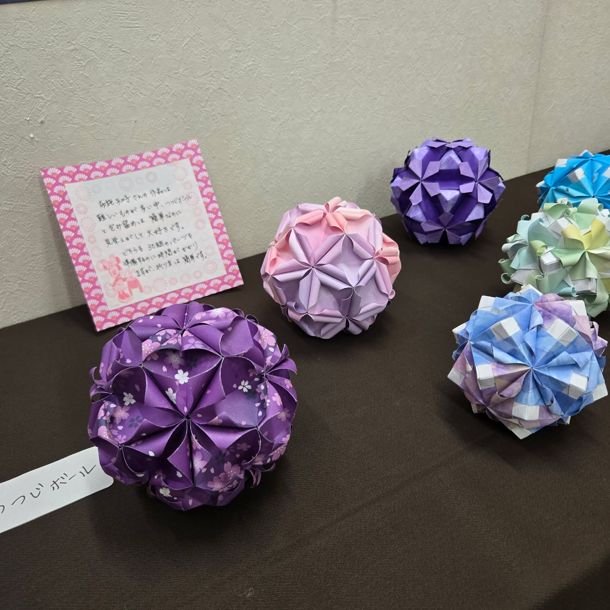 20260827-4.jpg